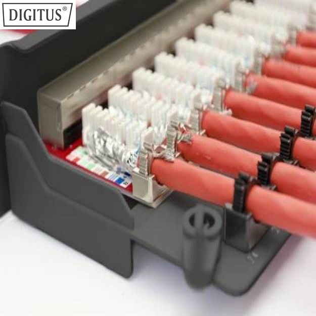 Dolu Patch Panel CAT6A STP 1U